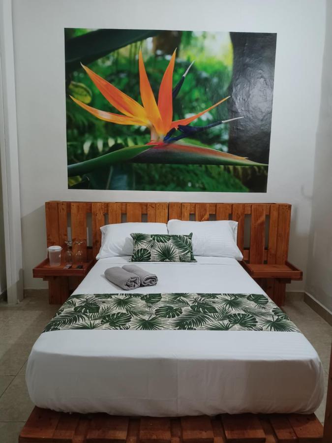 Hospedajes El Jardin Envigado Zewnętrze zdjęcie