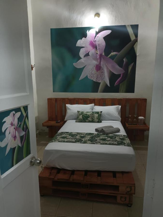 Hospedajes El Jardin Envigado Zewnętrze zdjęcie